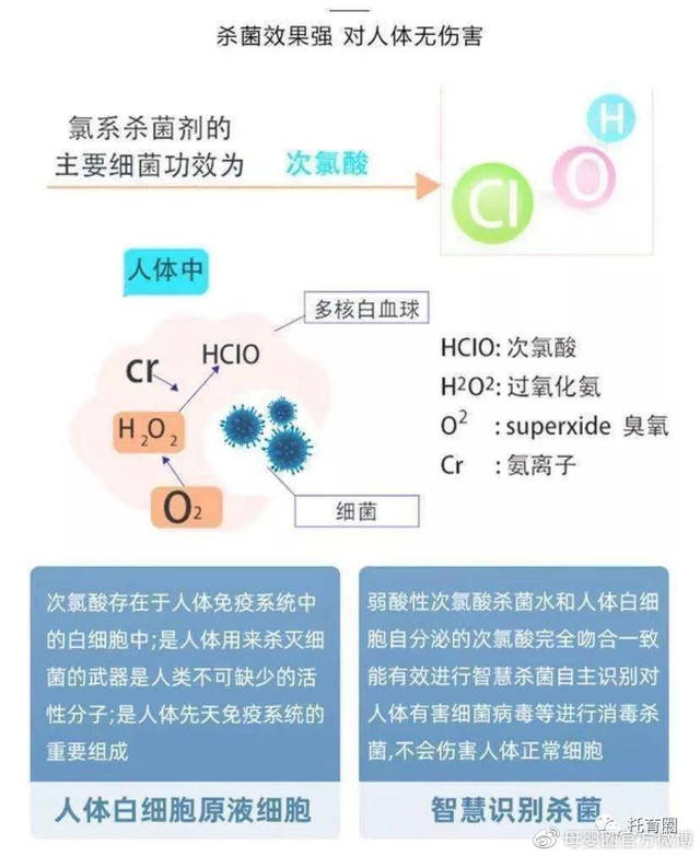 微全城系统